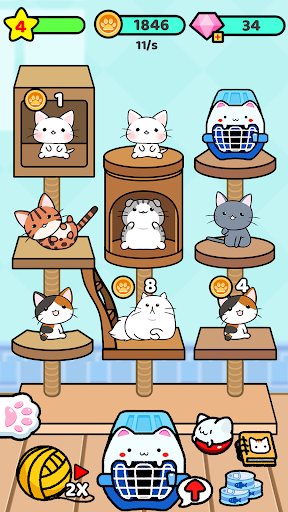 Cat Condo 2